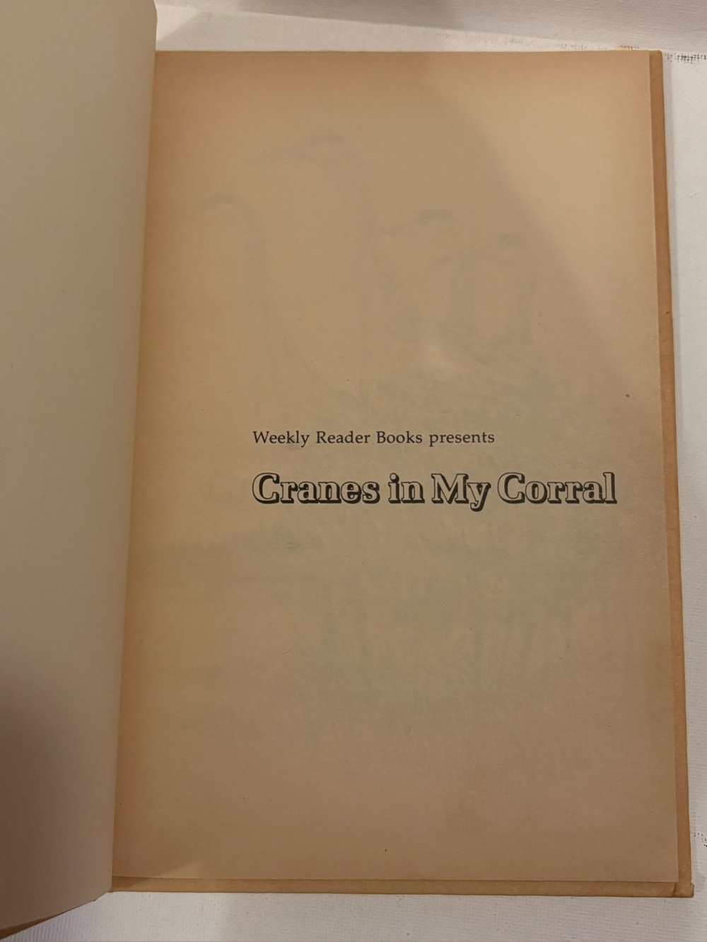 Cranes in My Corral Dayton Hyde c1971, Hardcover Illustrated Lorence Bjorklund - Picture 4 of 7